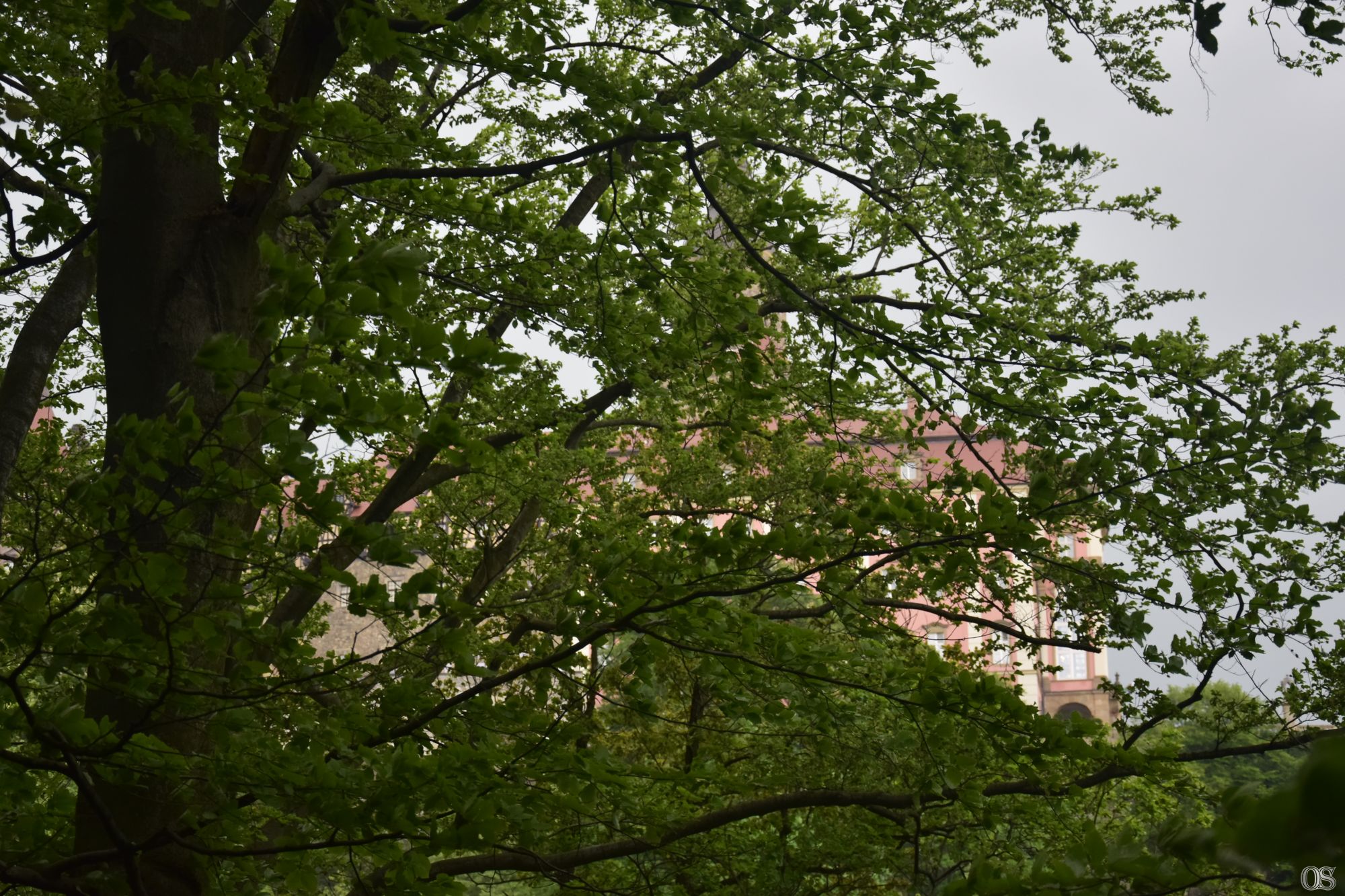Sciezka Hochbergow 48.jpg